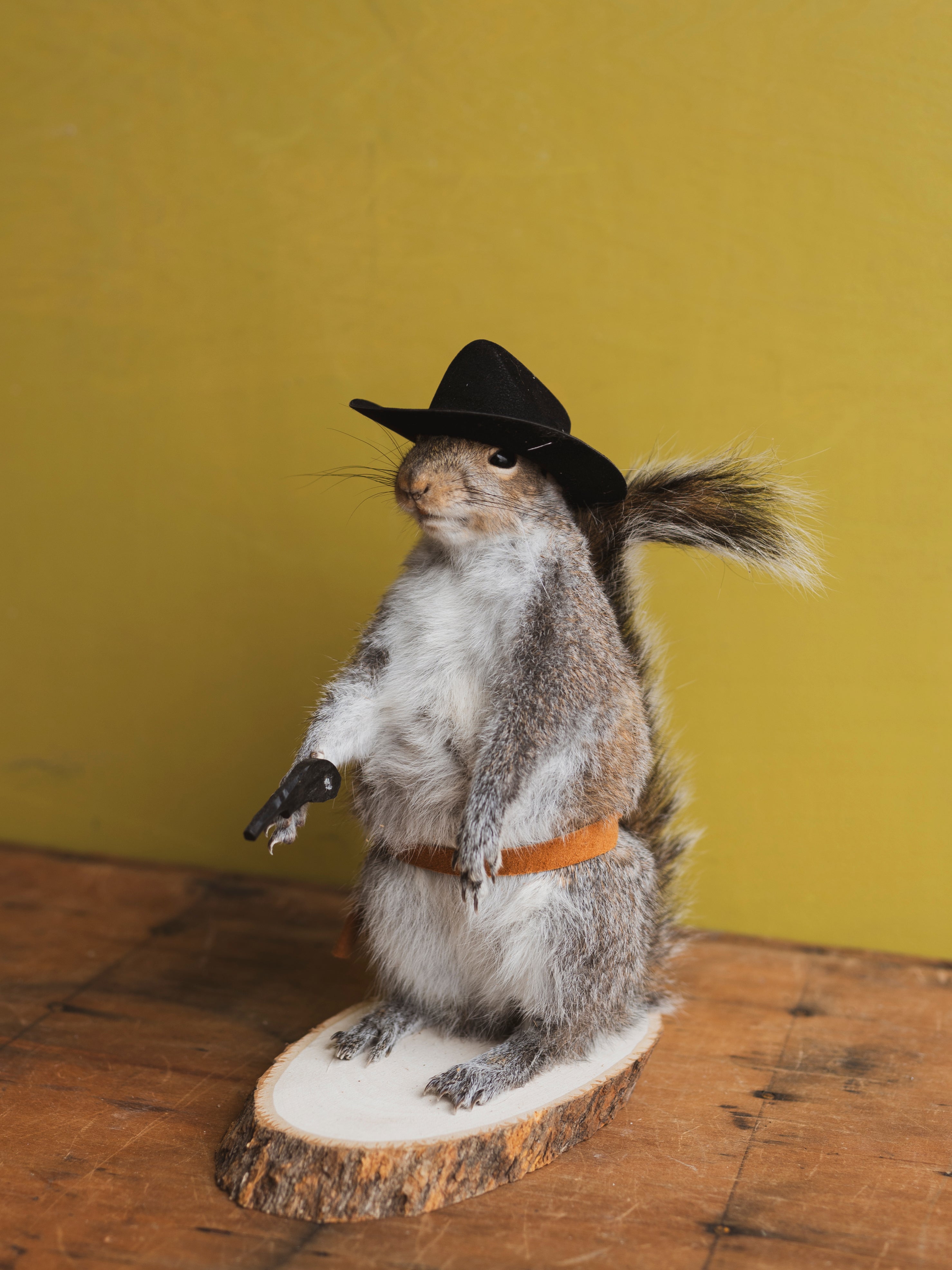 Cowboy Squirrel Taxidermy (Spoons), TA334