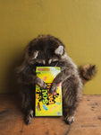 Sour Patch Raccoon Taxidermy (Riggs), TA61