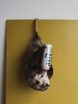 Miller Lite Hanging Opossum (Oscar), TA34