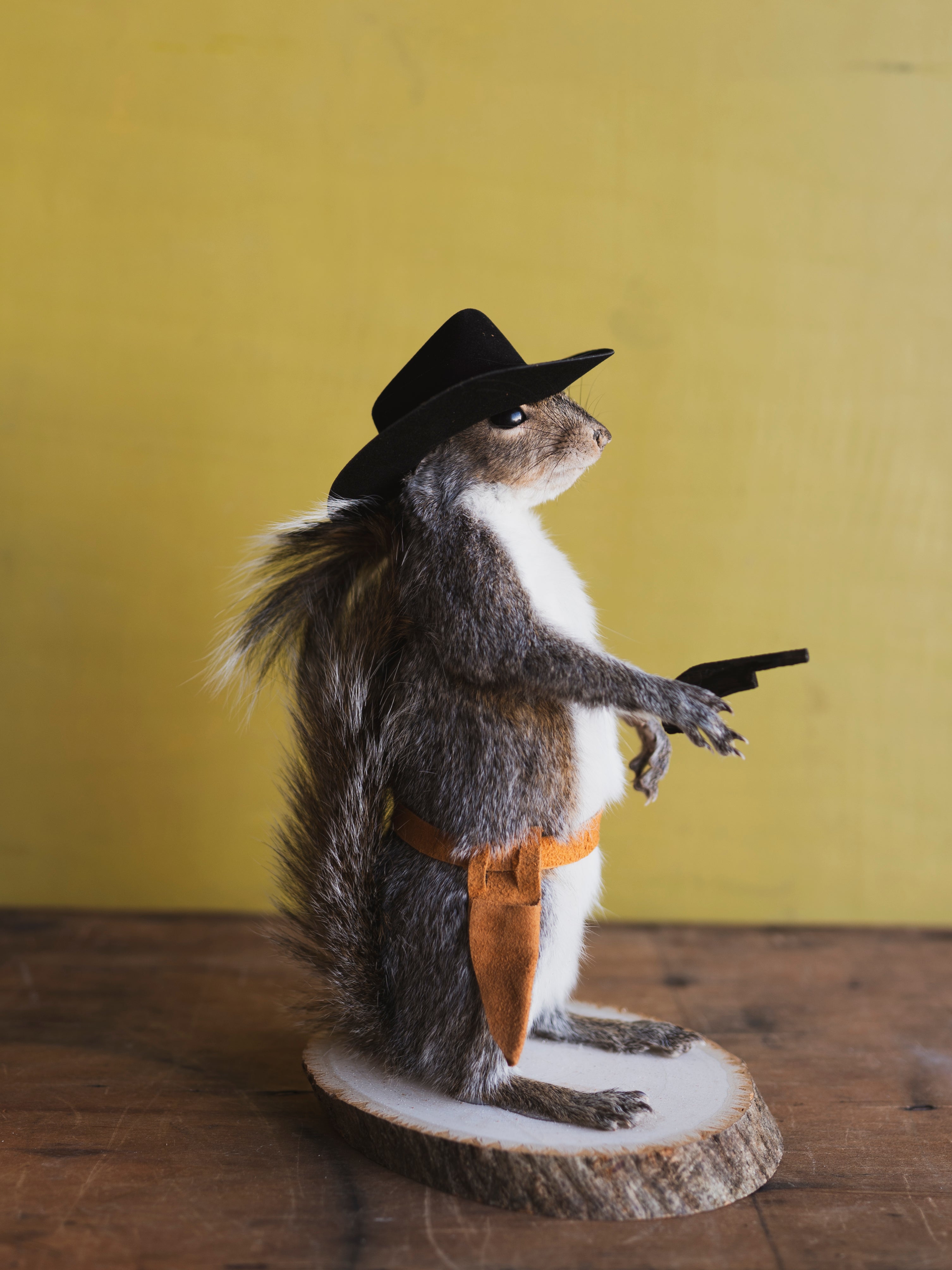 Cowboy Squirrel Taxidermy (Woody), TA855