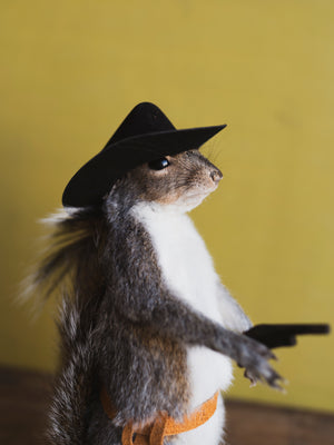 Cowboy Squirrel Taxidermy (Woody), TA855
