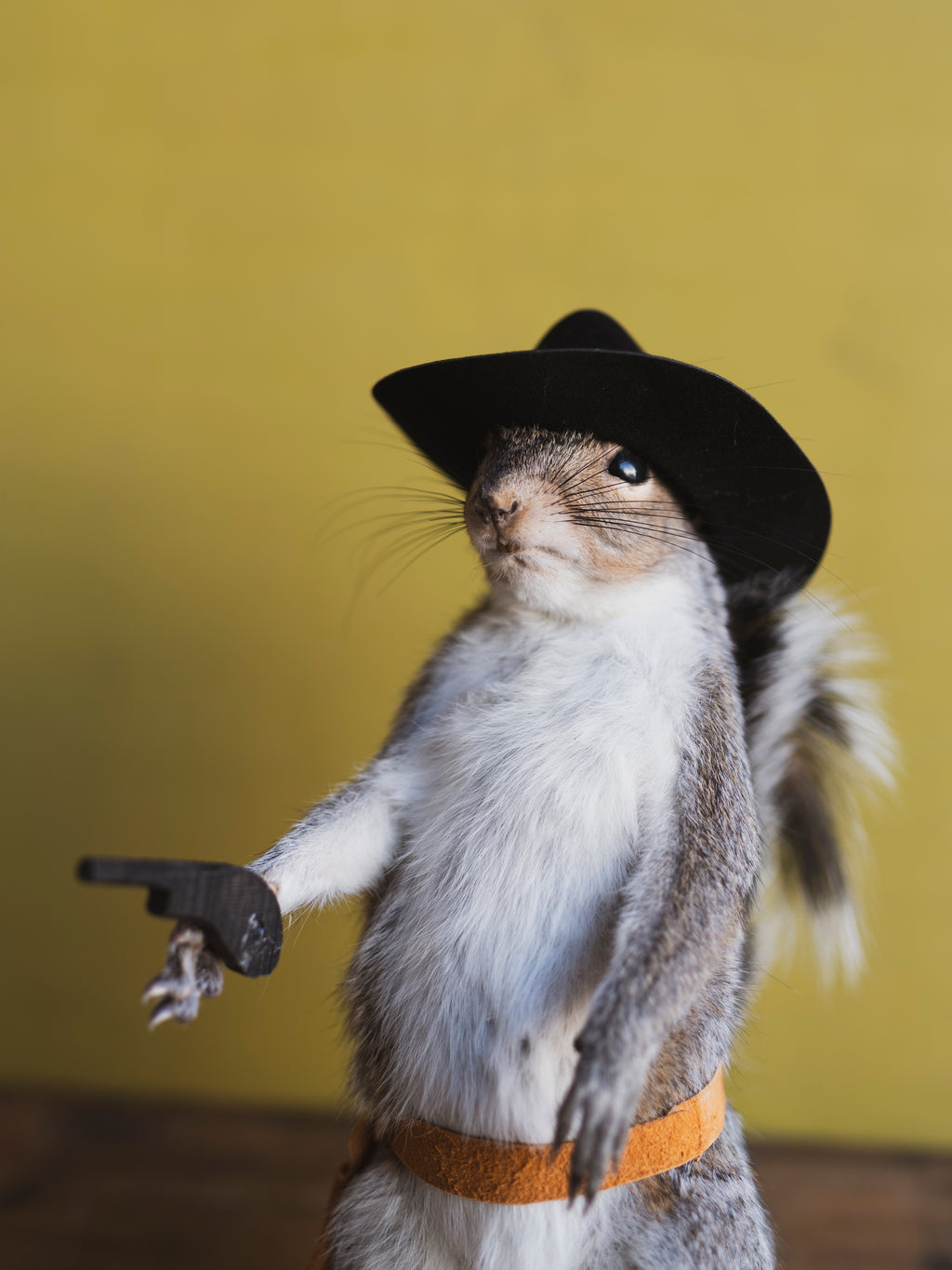 Cowboy Squirrel Taxidermy (Woody), TA855