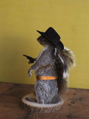 Cowboy Squirrel Taxidermy (Woody), TA855