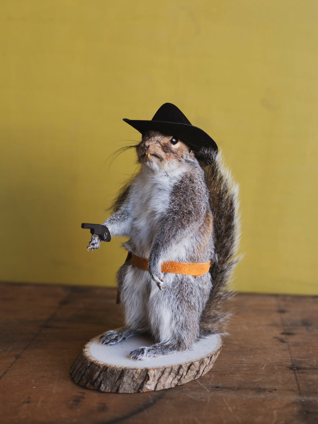 Cowboy Squirrel Taxidermy (Buster), TA854