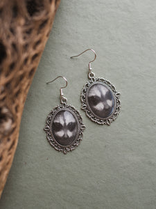 Silver Framed Raccoon Earrings, CA83