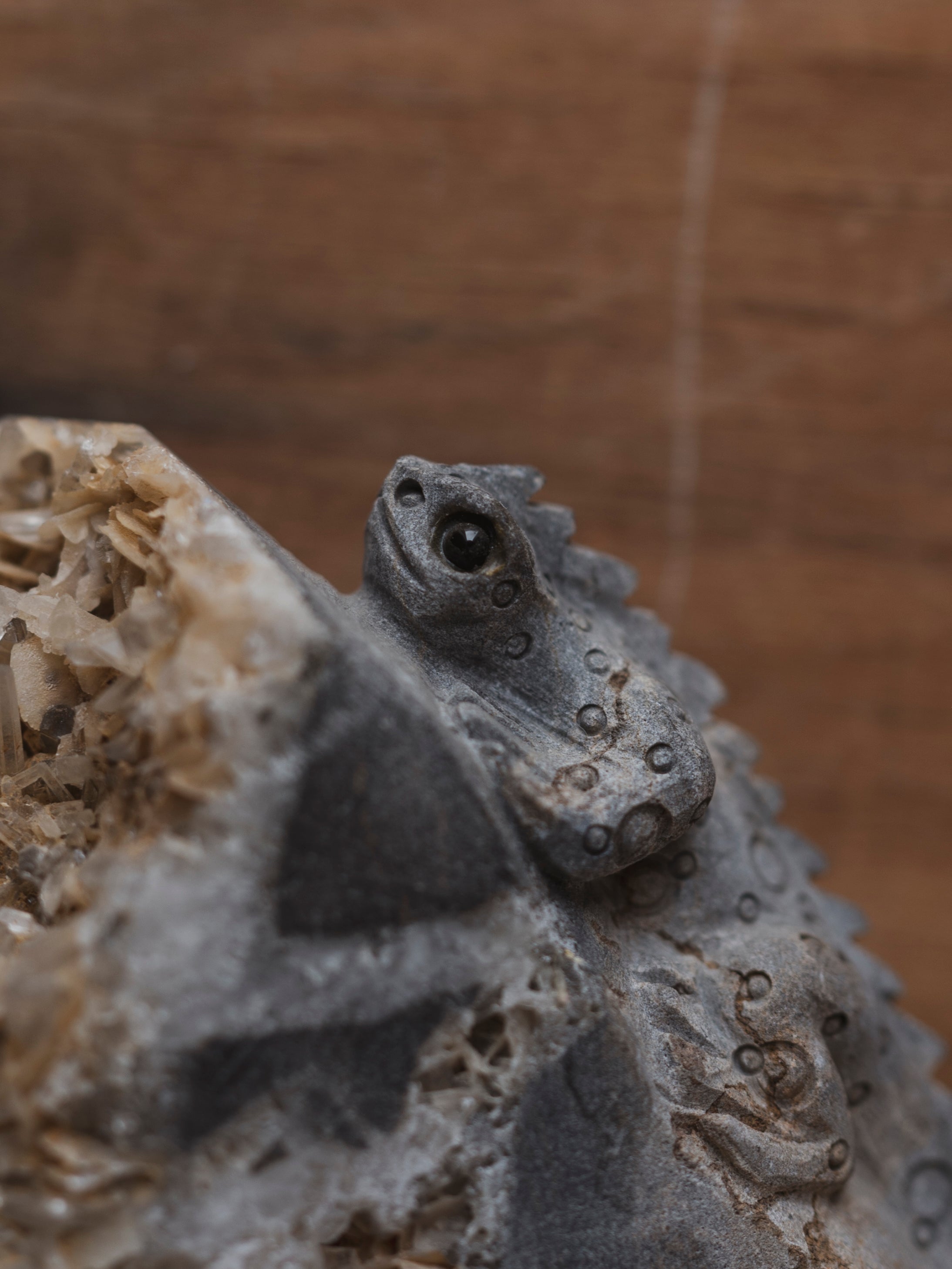 Carved Quartz Iguana, RM98