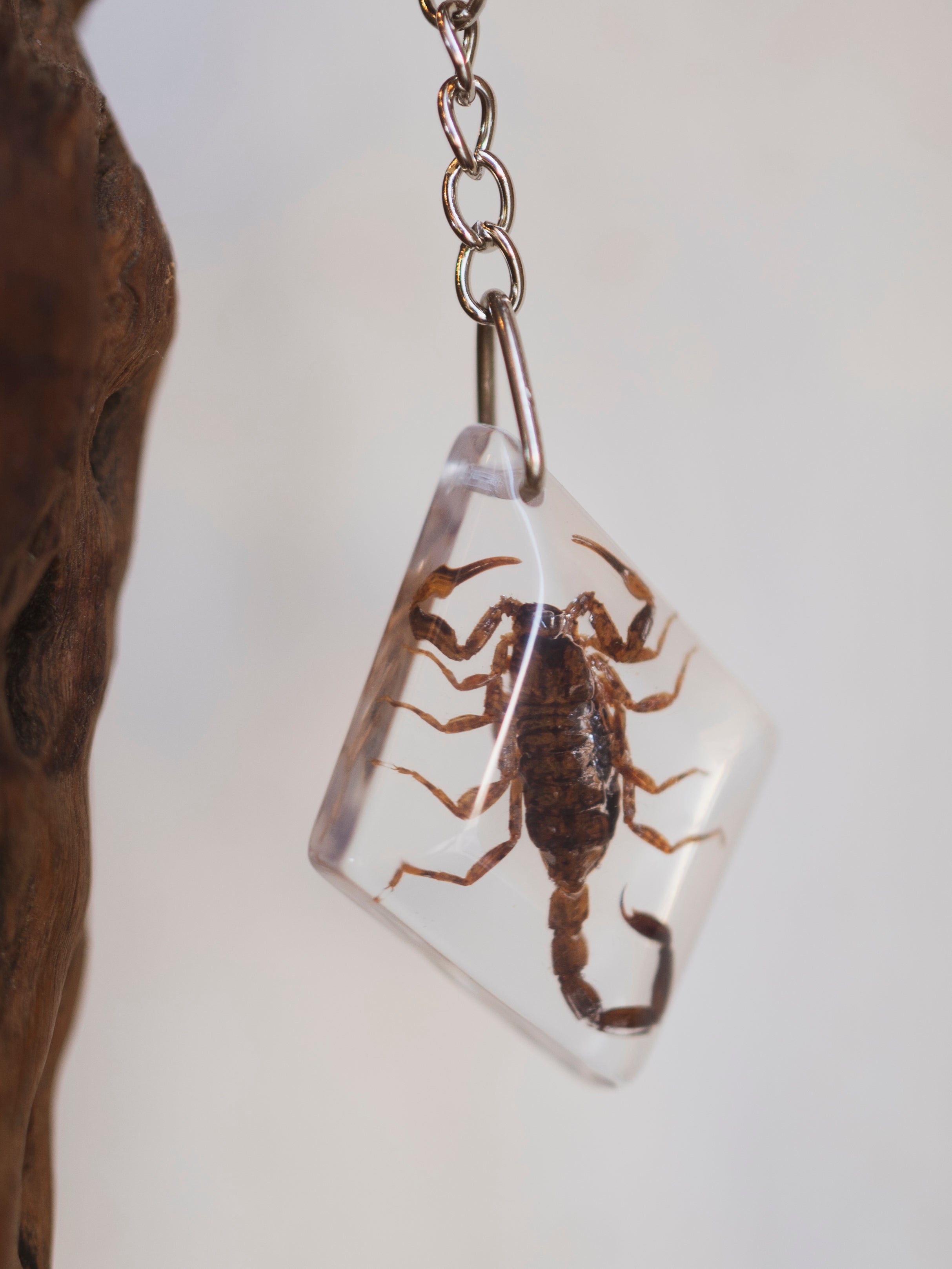 Acrylic Scorpion Keychain, CA583