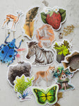 (4 for 1) MYSTERY Nature Stickers, ST049