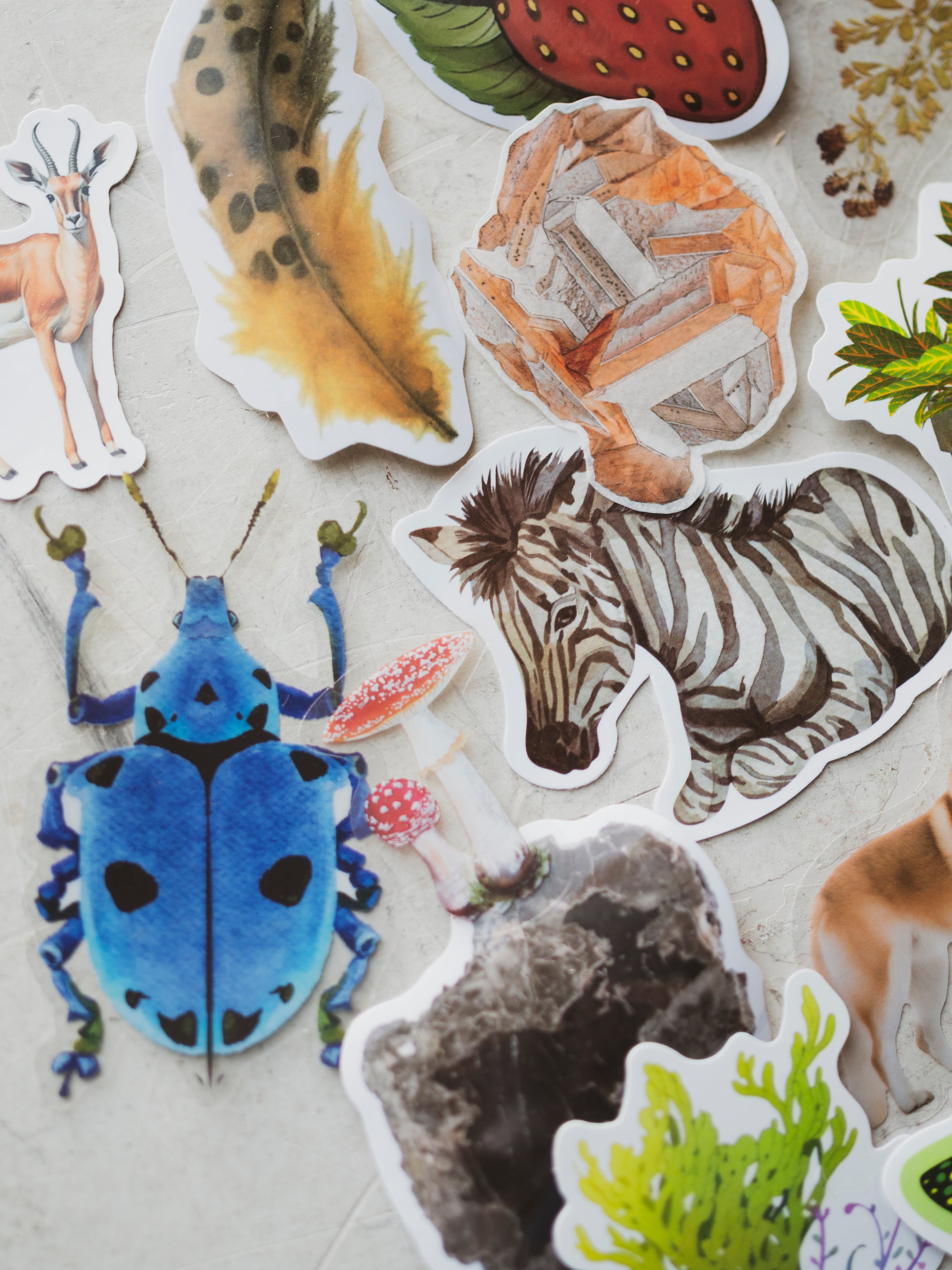 (4 for 1) MYSTERY Nature Stickers, ST049