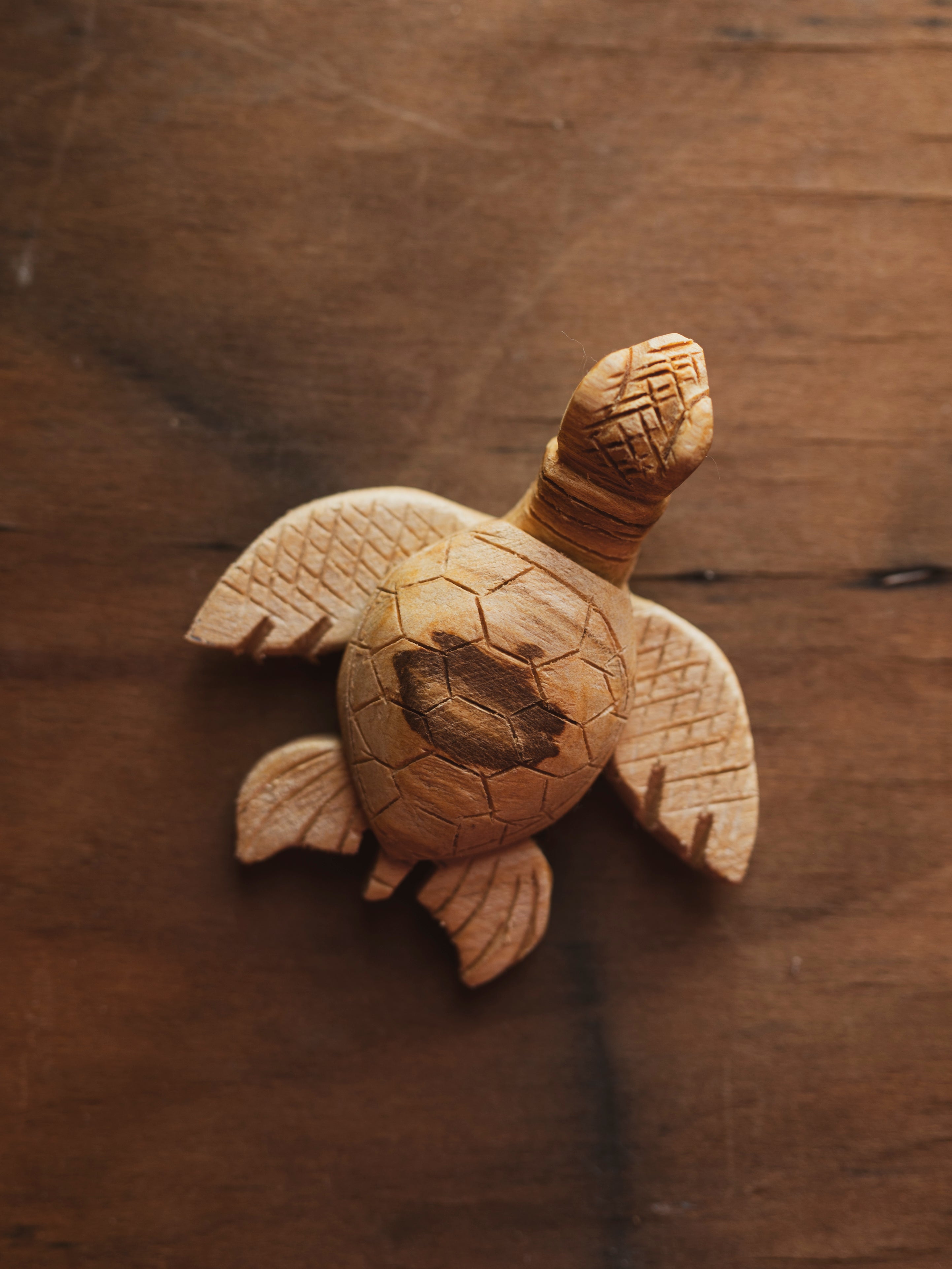 3" Carved Palo Santo Sea Turtle , HD1035