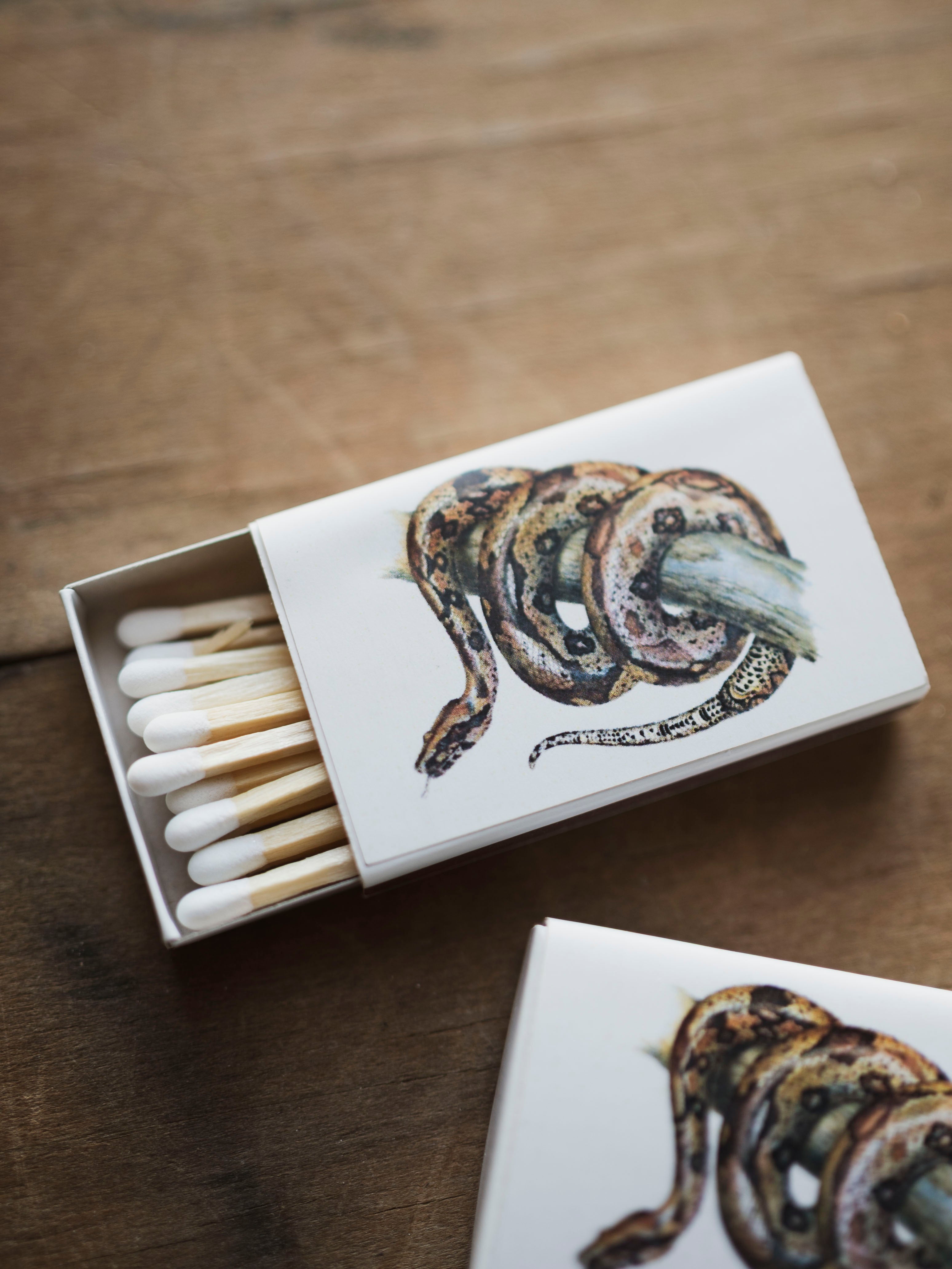 Mini Boa Matchbox, HD439 – Black Moth