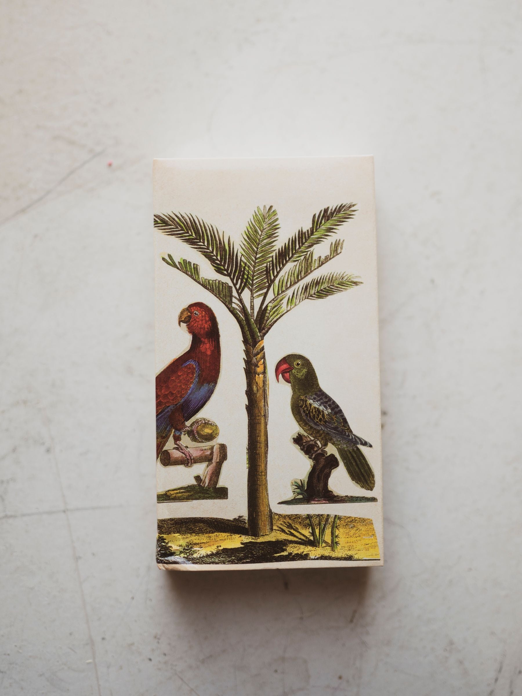 Parrot and Palm Tree Matchbox, HD263