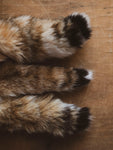 4-6" Bobcat Tail Keychain, CA1723