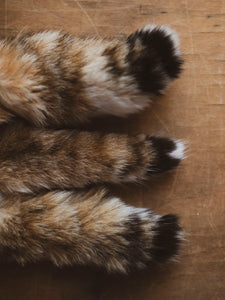 4-6" Bobcat Tail Keychain, CA1723