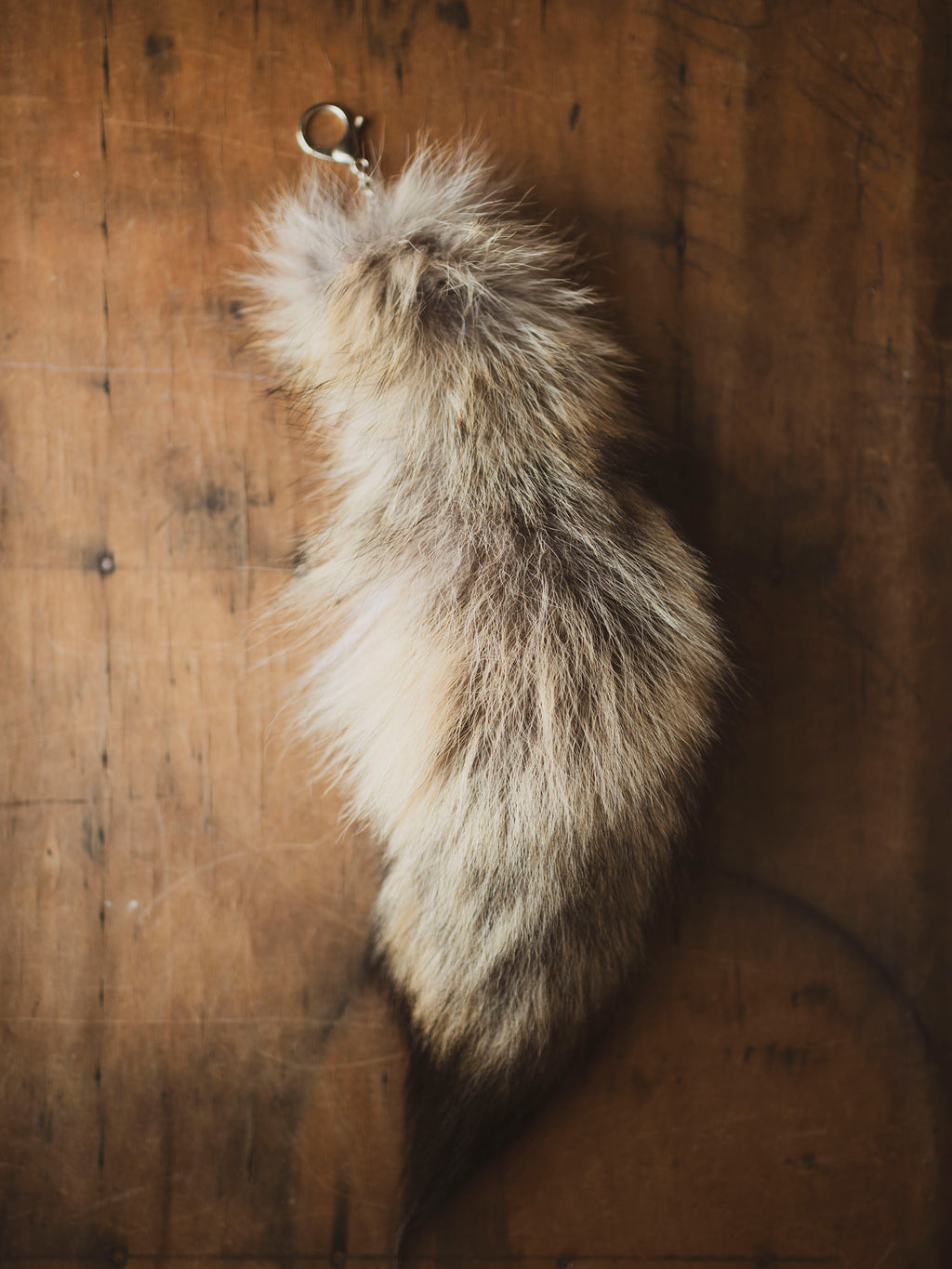 15" Coyote Tail Keychain, PS340