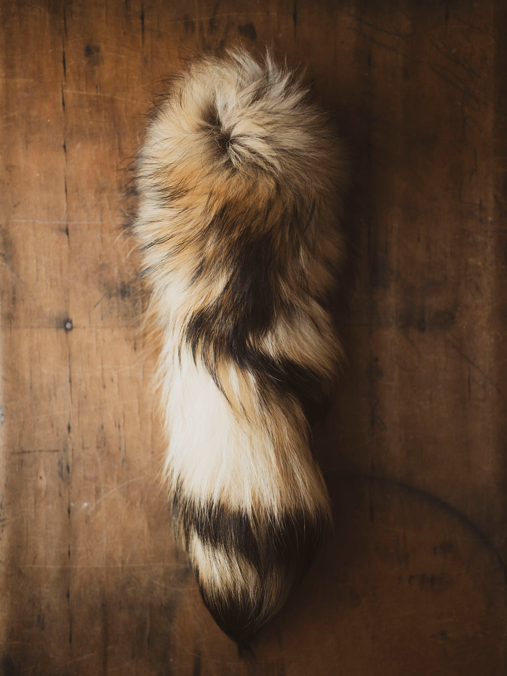 Tanuki Tail Keychain, CA1545