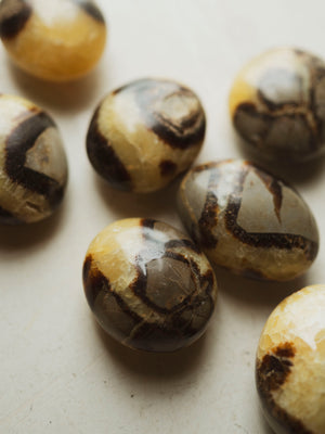 1.25-2.25" Septarian Palmstone, RM4111