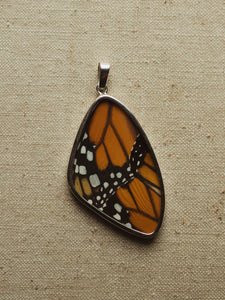 2" Monarch Butterfly Wing Pendant, CA1408