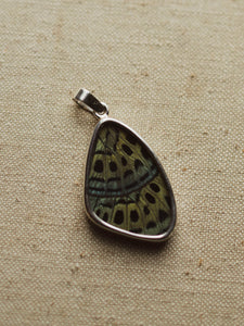1.25" Leprieur's Glory Butterfly Wing Pendant, CA1406