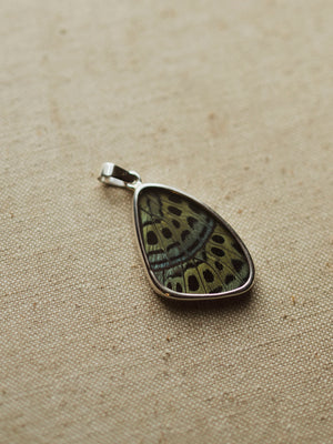 1.25" Leprieur's Glory Butterfly Wing Pendant, CA1406