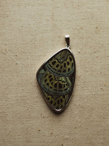 2" Leprieur's Glory Butterfly Wing Pendant, CA1407