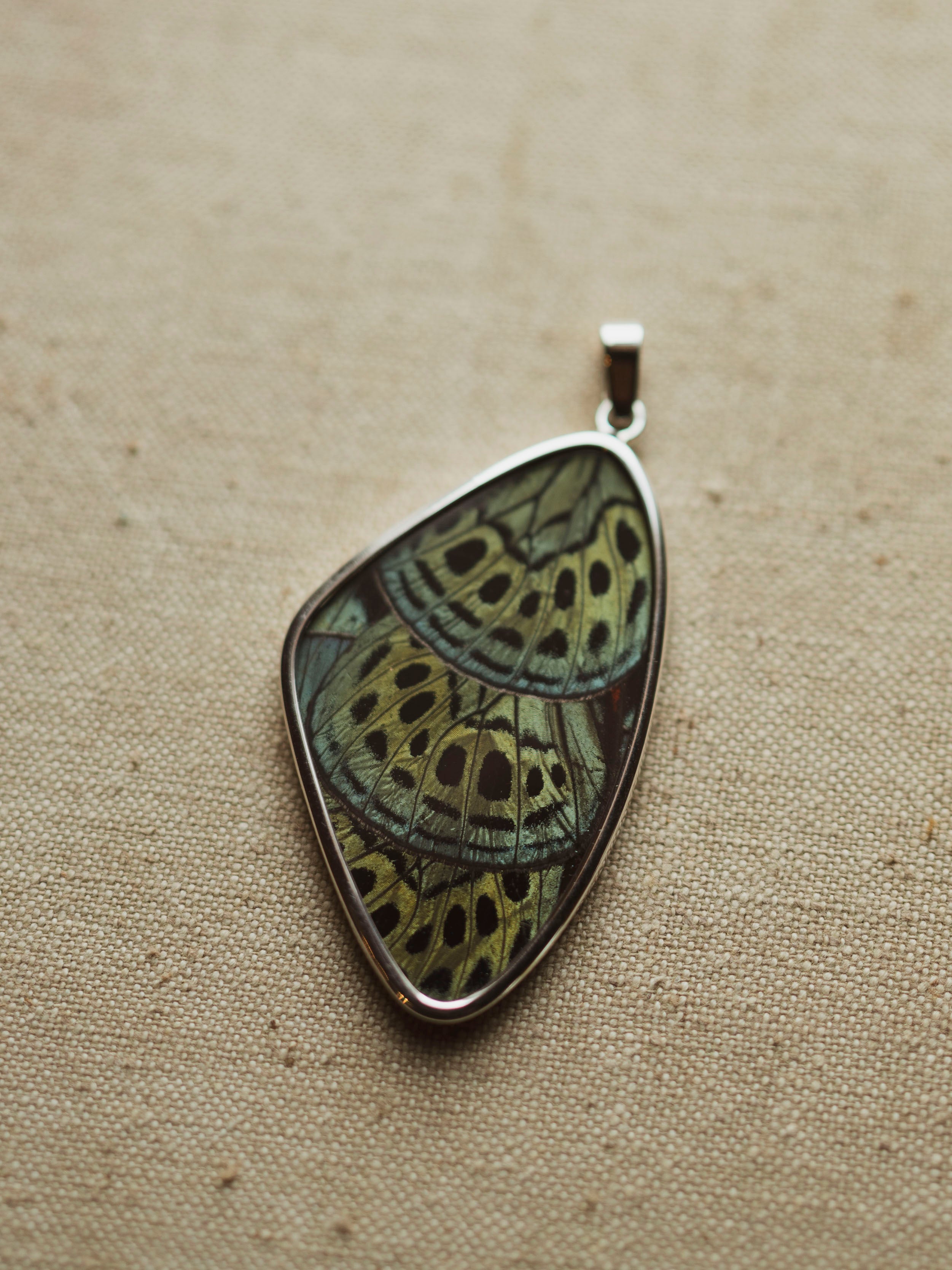 2" Leprieur's Glory Butterfly Wing Pendant, CA1407