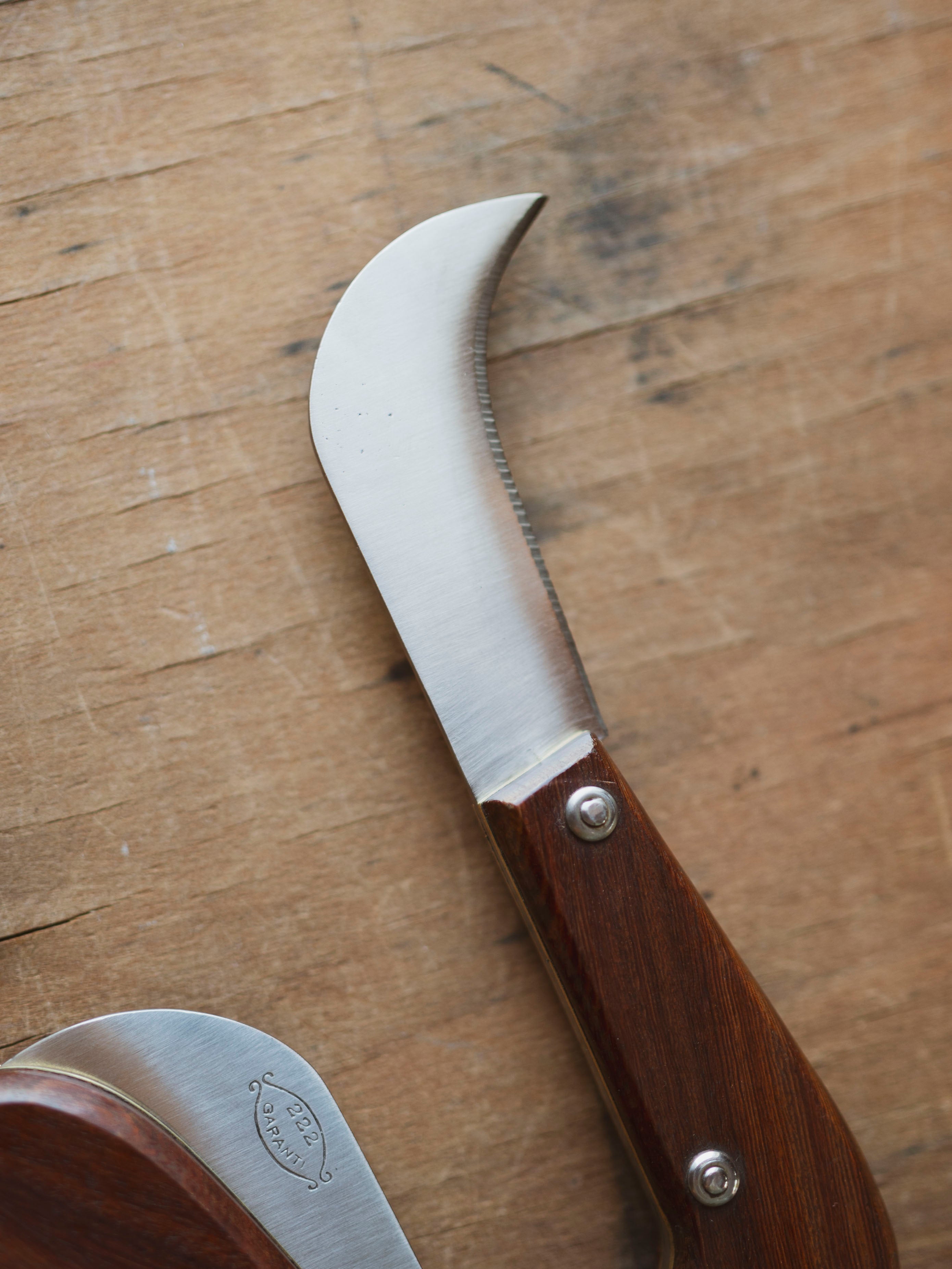 3.25" Mushroom Foraging Knife, HD1295