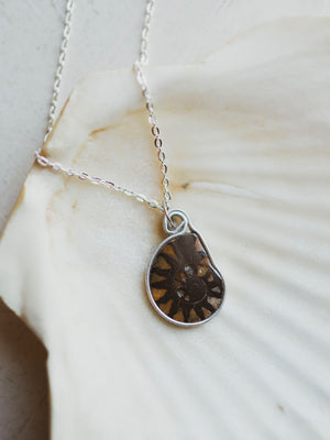 Ammonite Half Necklace, CA1529