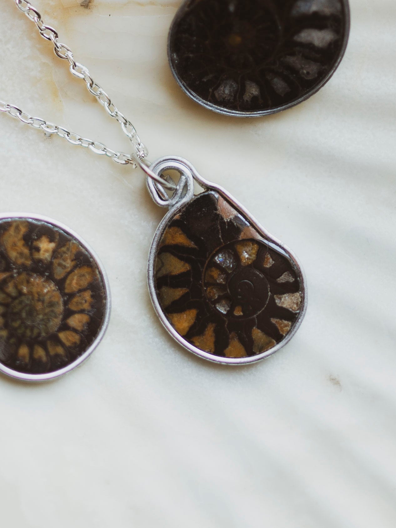 Ammonite Half Necklace, CA1529