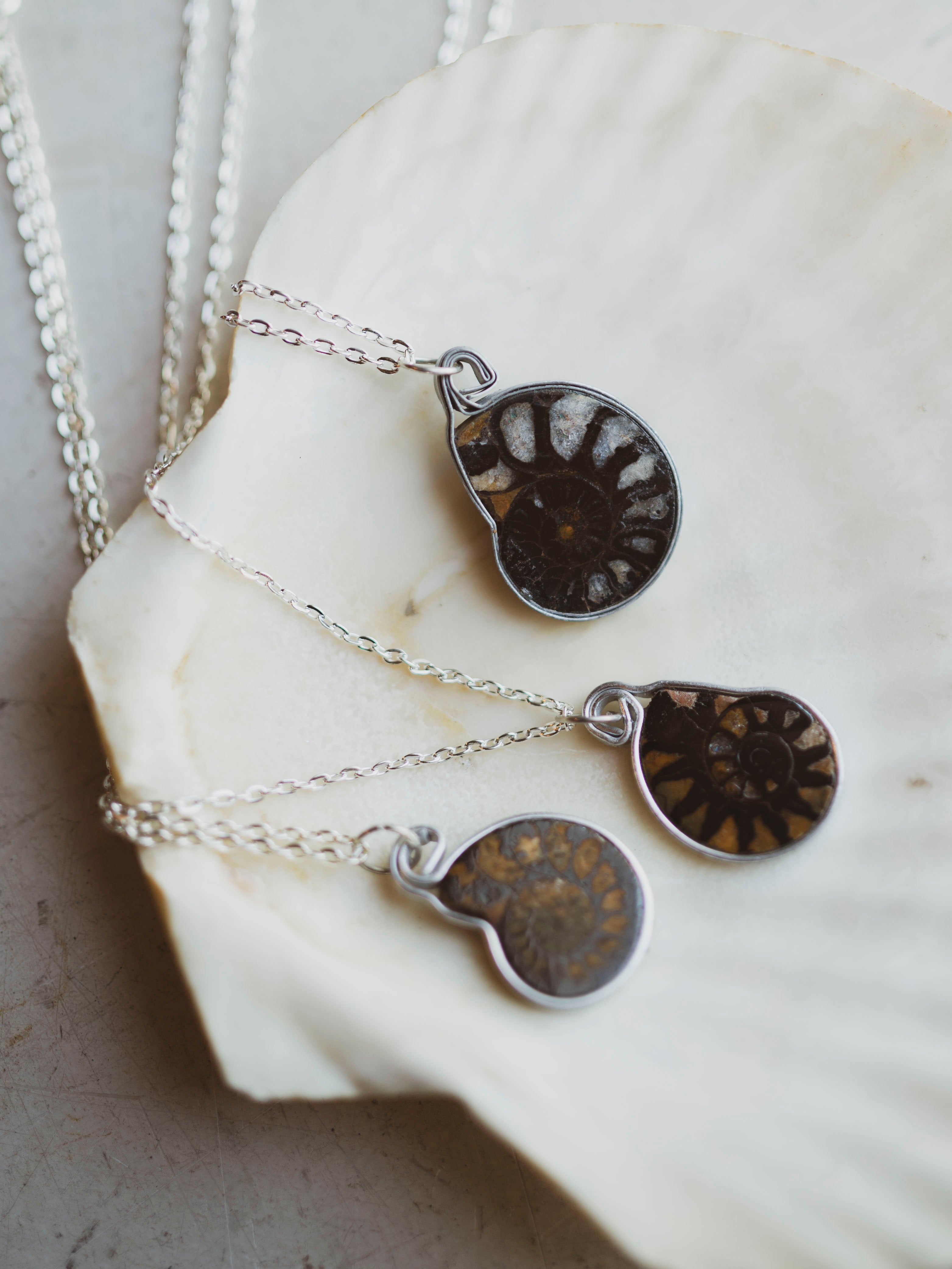 Ammonite Half Necklace, CA1529