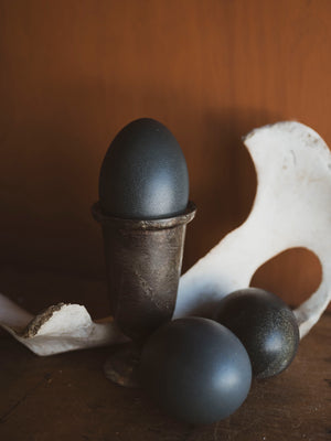 5.25-5.5" Emu Egg, PS408