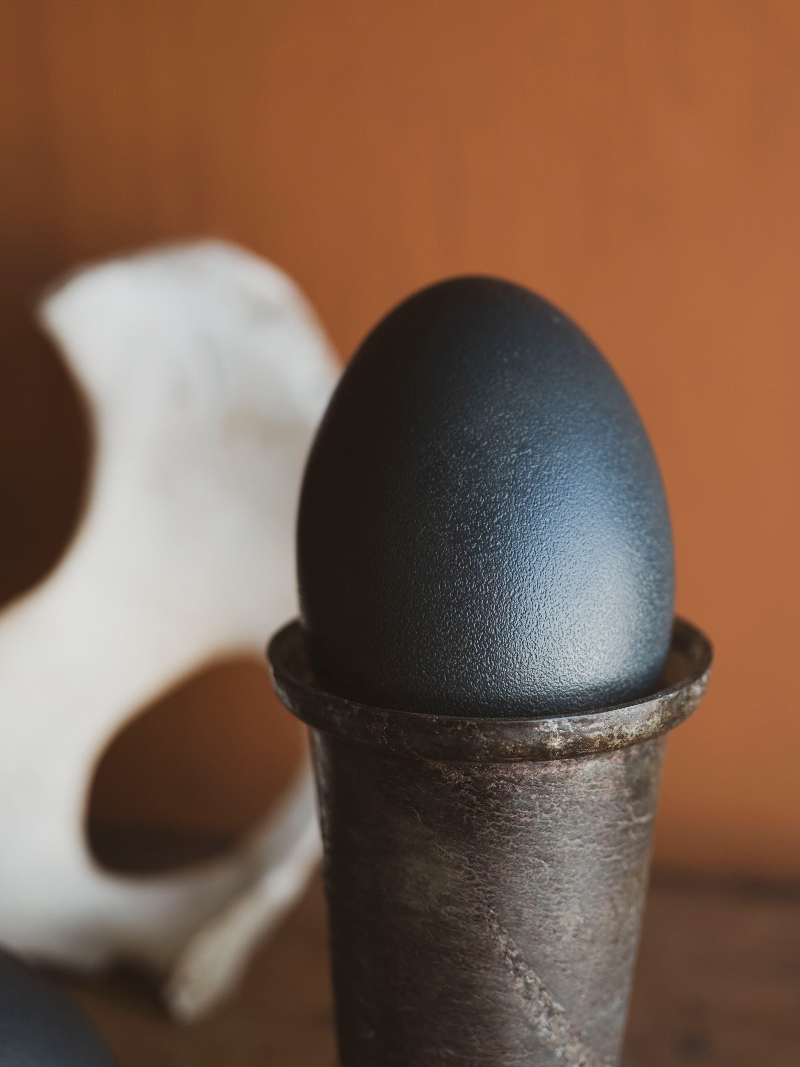 5.25-5.5" Emu Egg, PS408