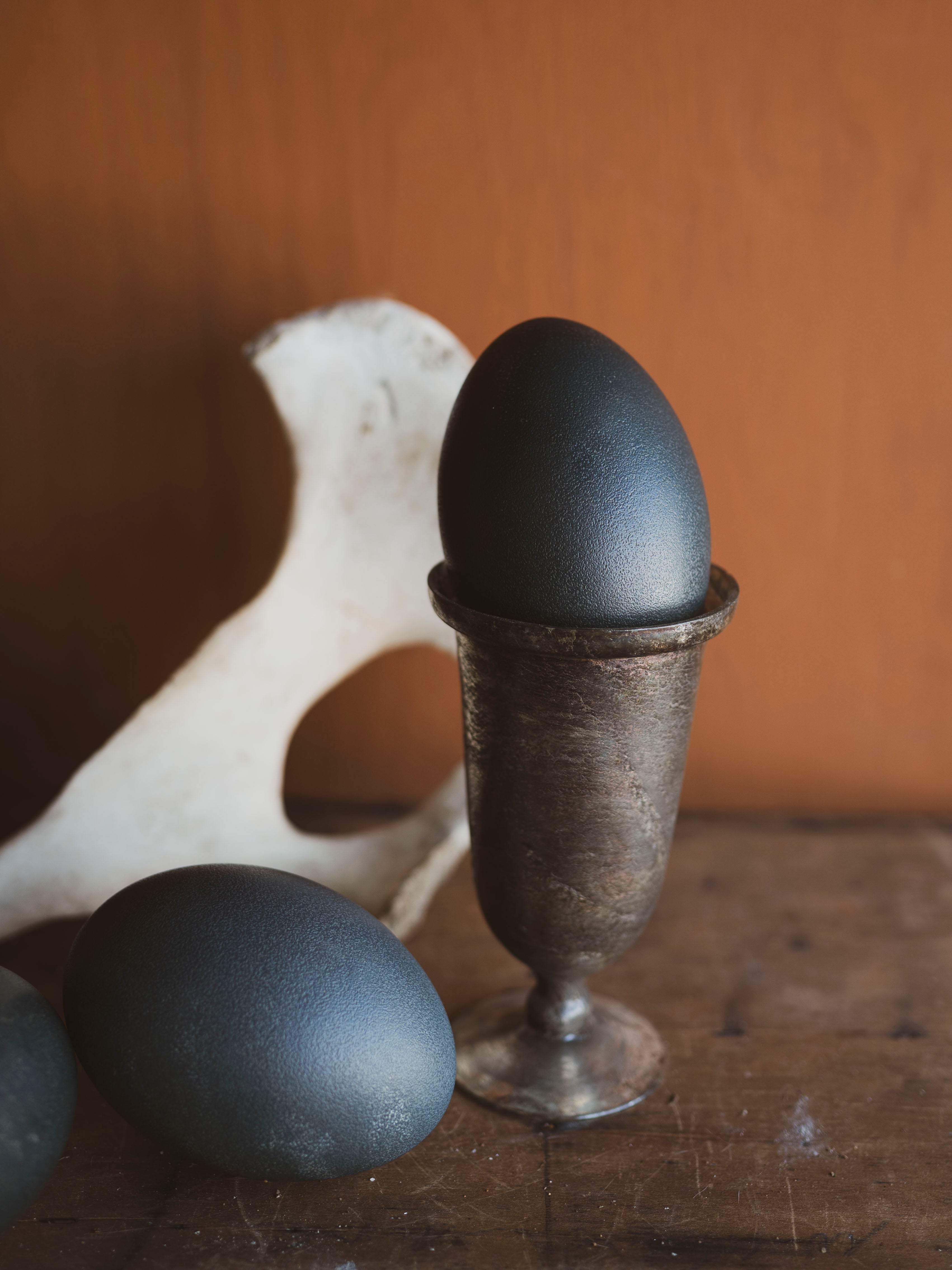 5.25-5.5" Emu Egg, PS408