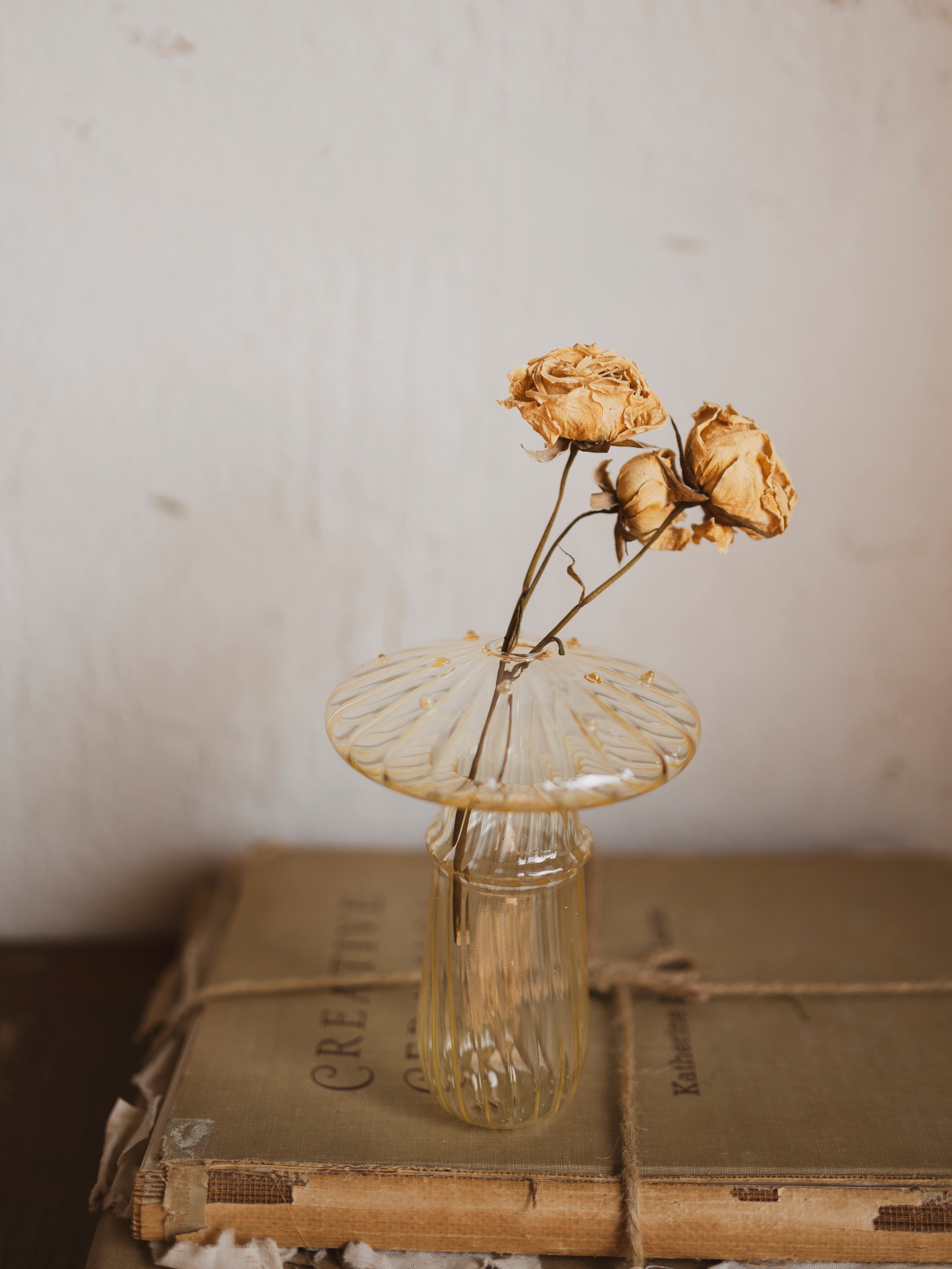 4.5" Champagne Glass Mushroom Vase, HD592