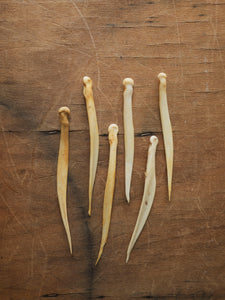 2.75" Deer Needle Bone, SB541