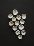 Fish Vertebrae, SB1021