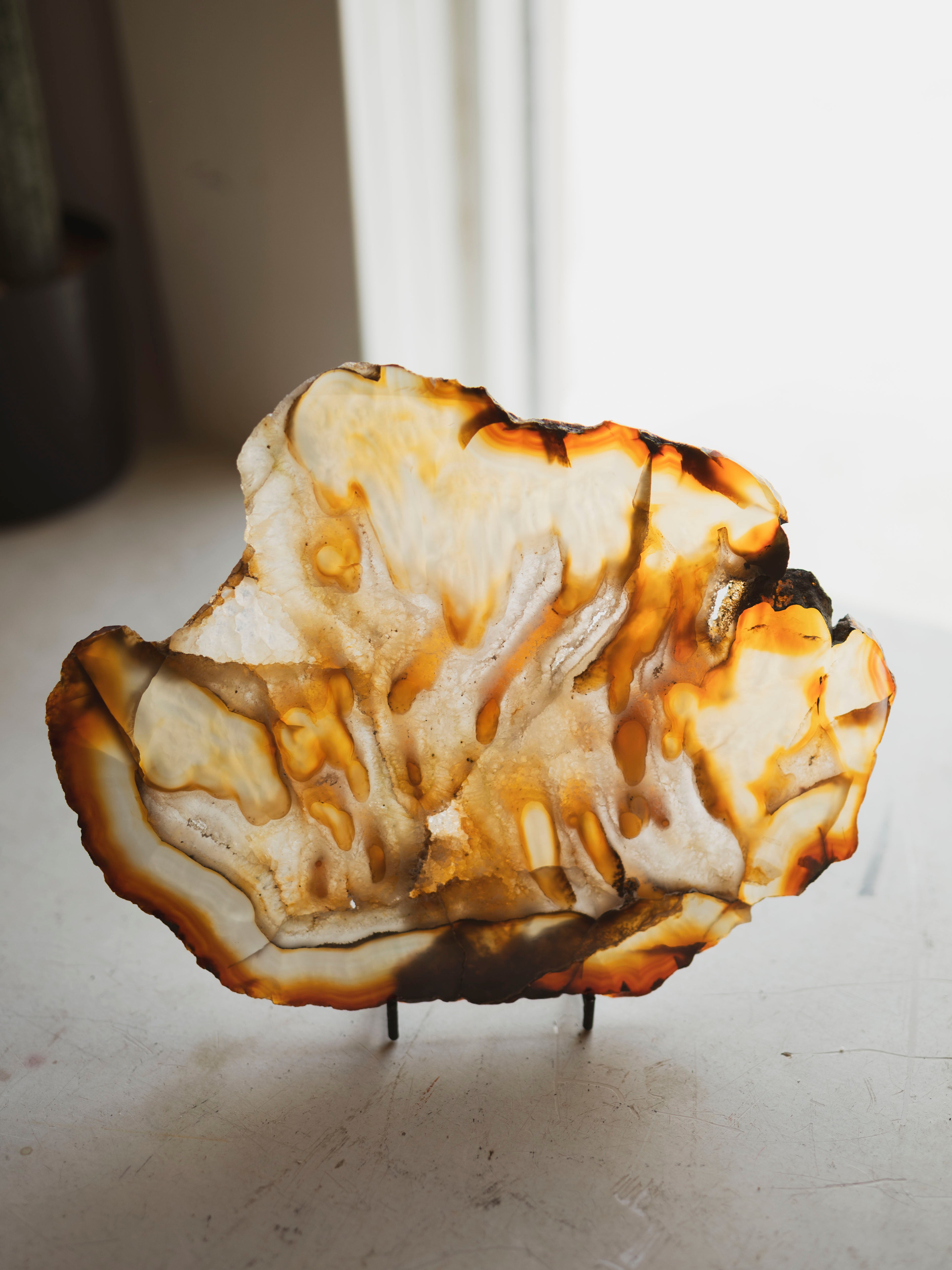 10.5-11.25" Agate Slice, RM3009