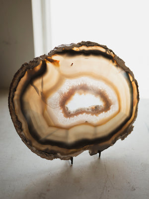 10.5-11.25" Agate Slice, RM3009