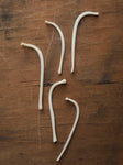 2-3"  Skinny Raccoon Baculum, SB1022