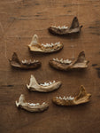 Nature Cleaned Mink Jaw, SB544