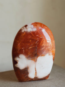 5" Carnelian Freeform, RM3092