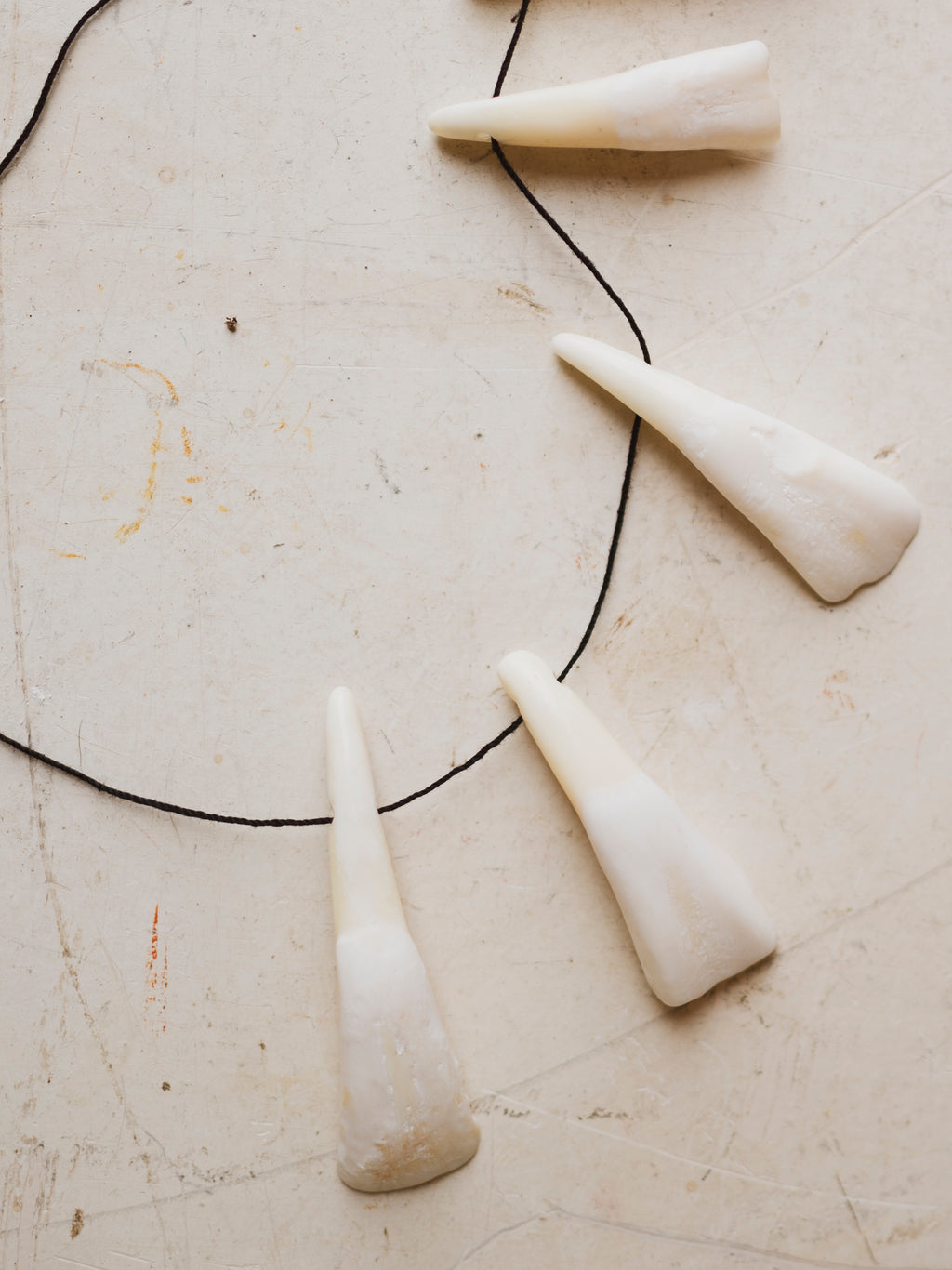 Indian Water Buffalo Tooth Pendant, SB401