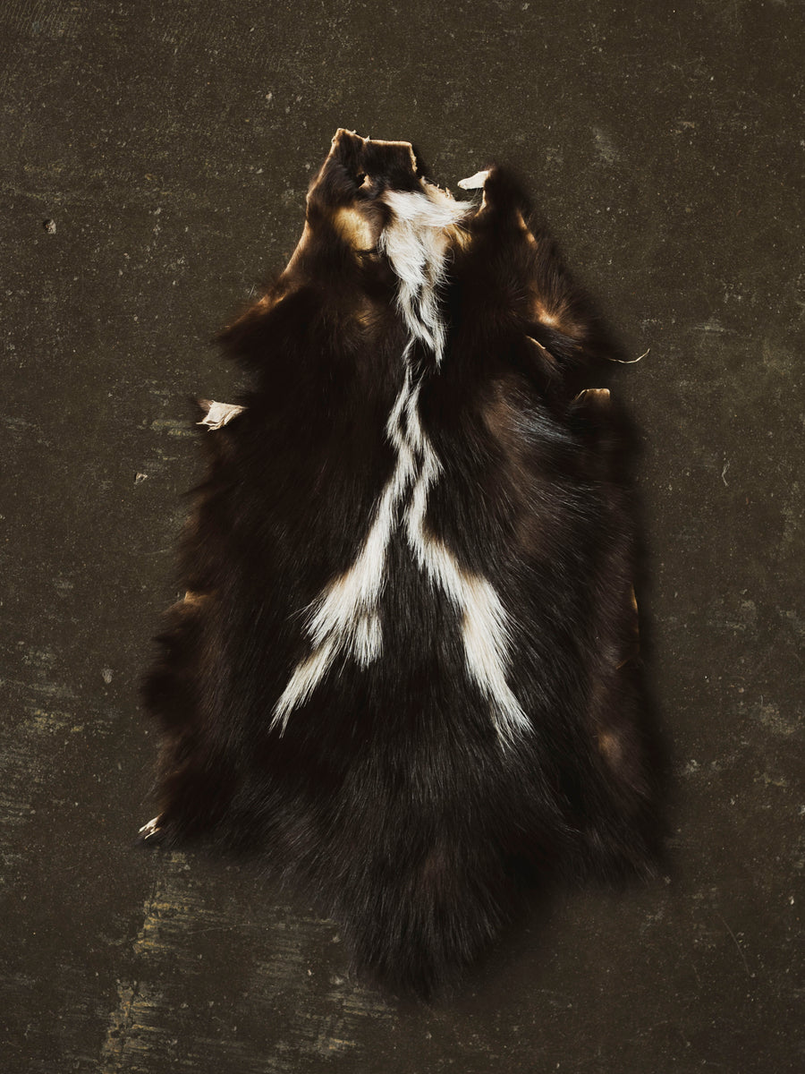 Skunk Pelt, TA30 – Black Moth