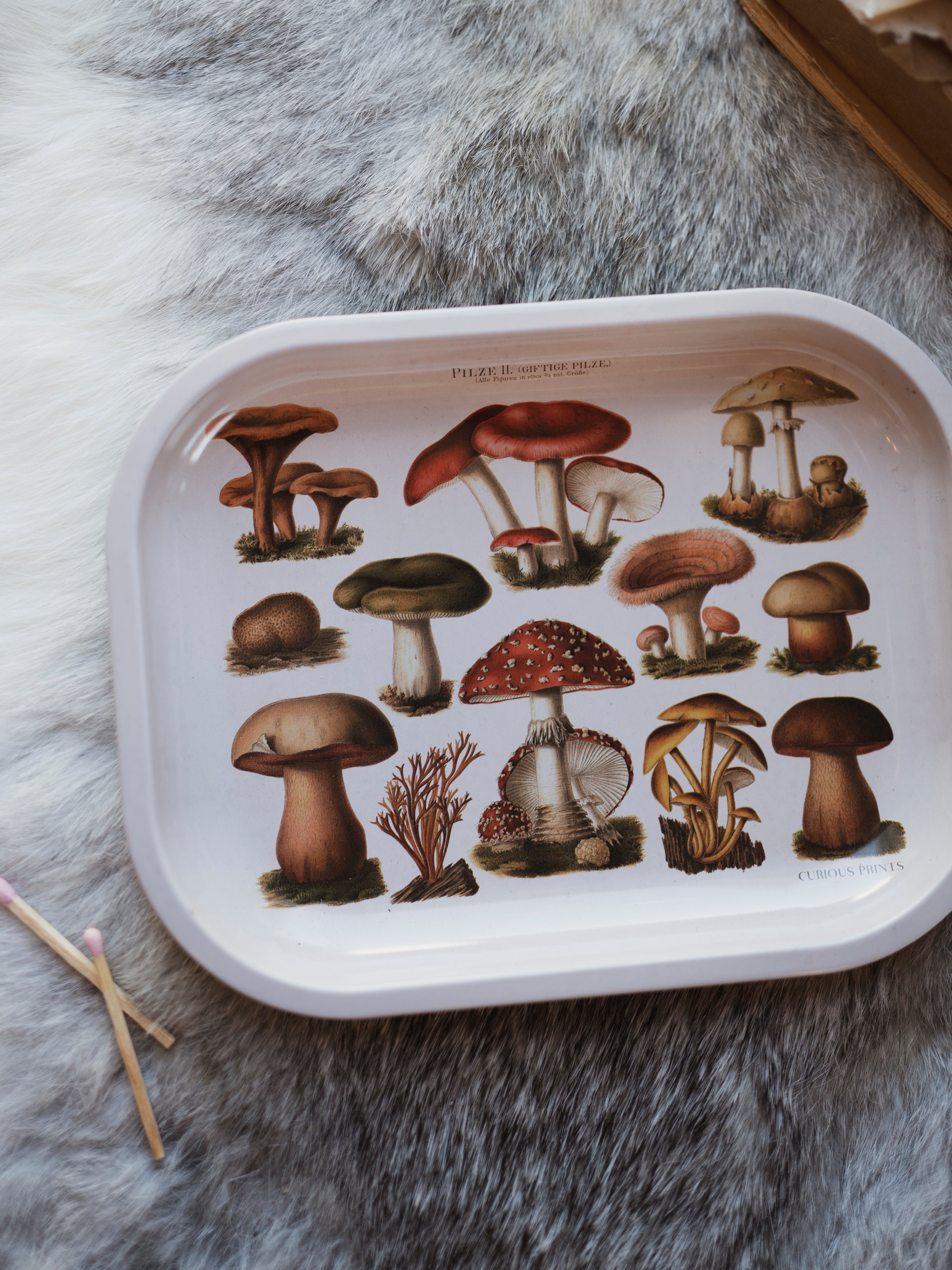 Metal Mushroom Tray, HD153