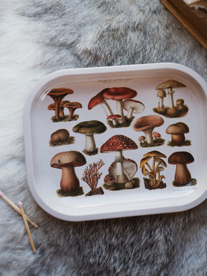 Metal Mushroom Tray, HD153
