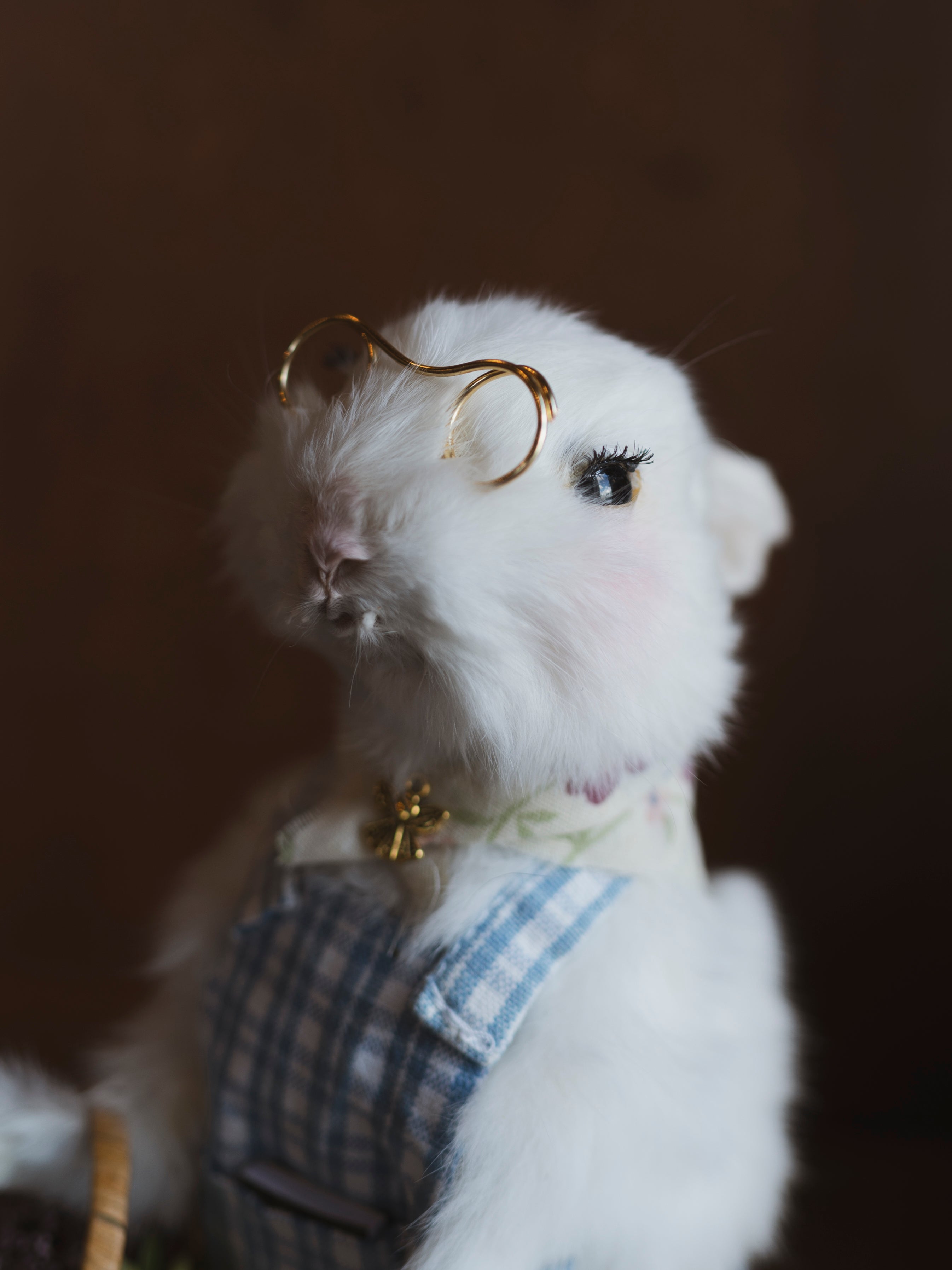 Cottage Core Bunny Taxidermy, TA1321