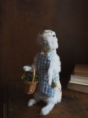 Cottage Core Bunny Taxidermy, TA1321