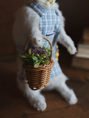 Cottage Core Bunny Taxidermy, TA1321