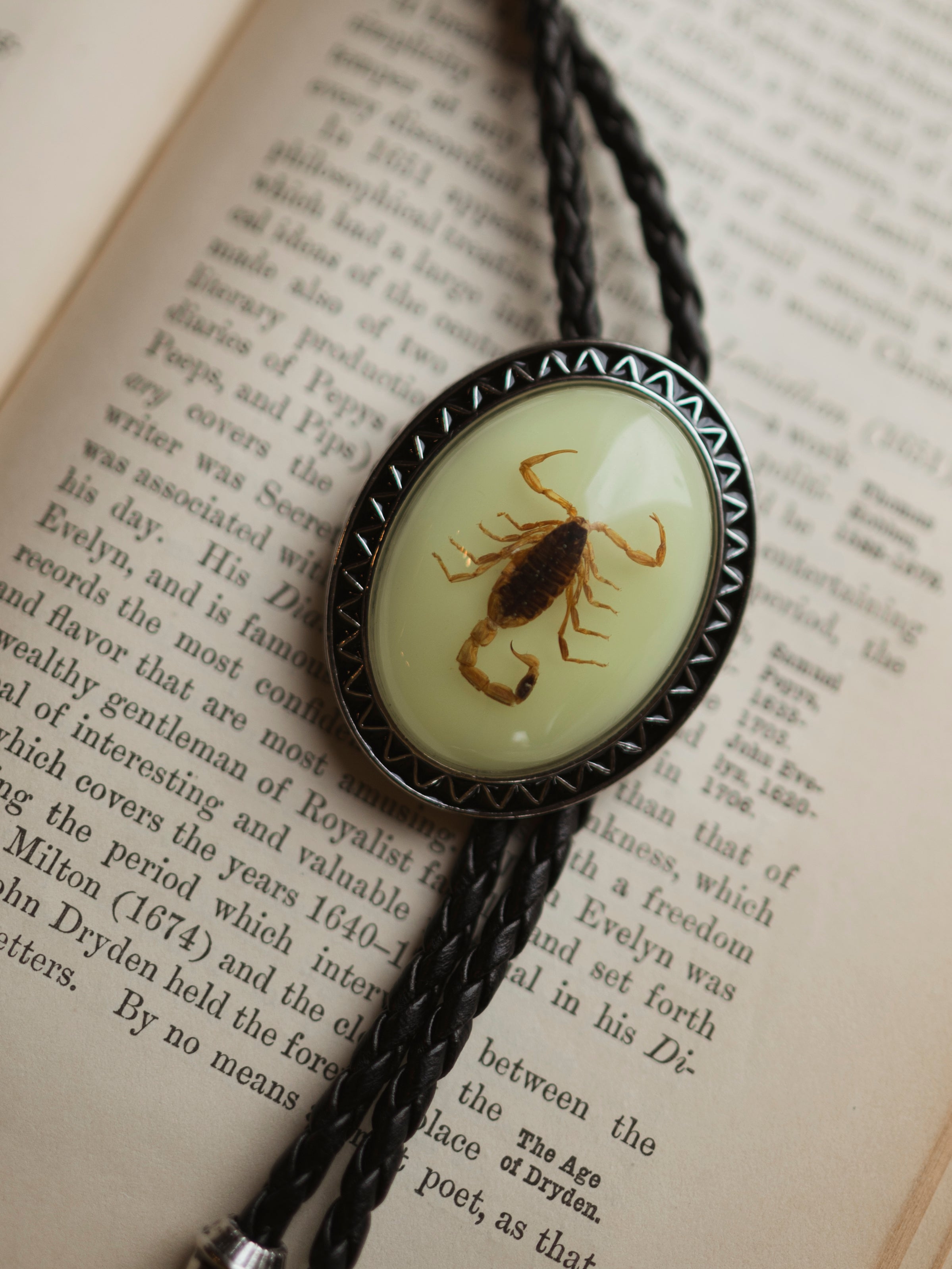 Glow in the Dark Resin Scorpion Bolo Tie, CA1140