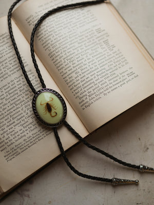 Glow in the Dark Resin Scorpion Bolo Tie, CA1140